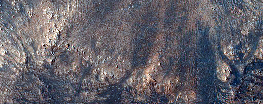 Terrain Sample