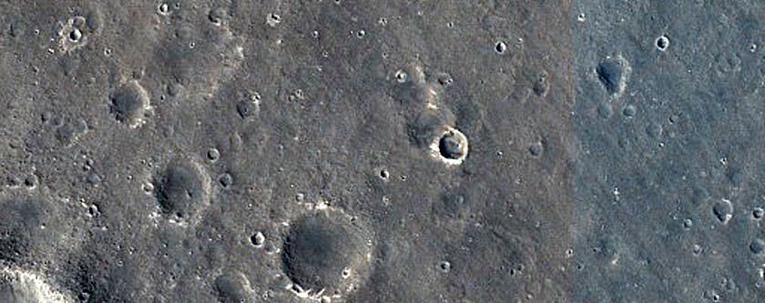 Elysium Planitia