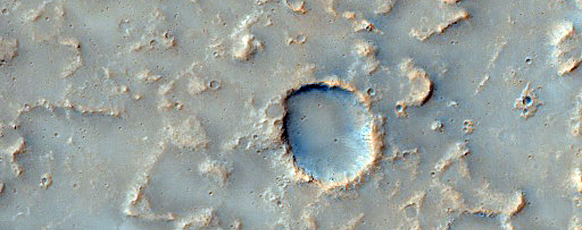 Terrain Sample