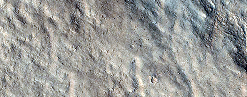Terrain Sample