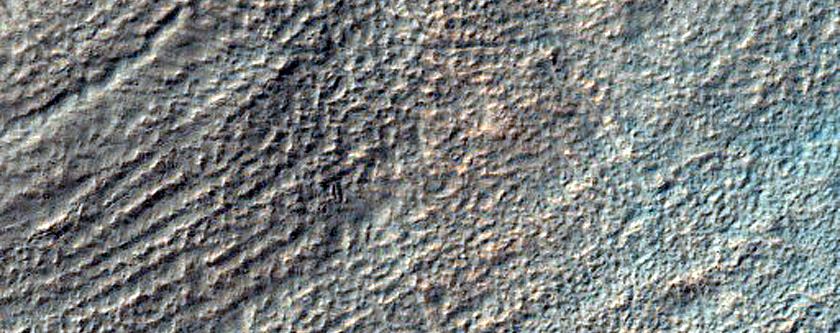 Slope Features in Newton Crater