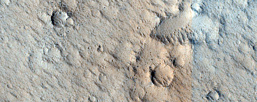 Amazonis Planitia