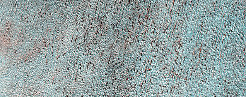 South Polar Residual Cap Mosaic Campaign