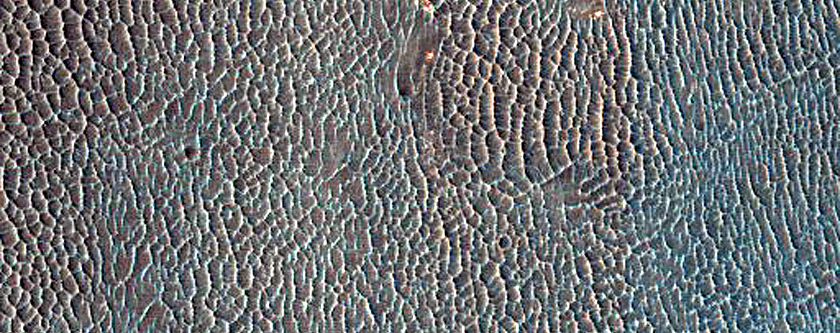 Proposed Site for Future Exploration in Capri Chasma