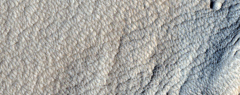 Terrain Sample