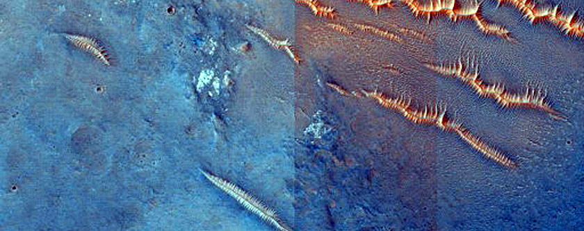 Northern Terra Cimmeria