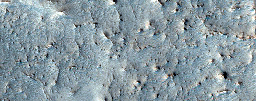 Terrain Sample