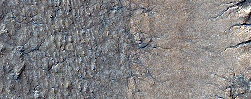 Terrain Sample