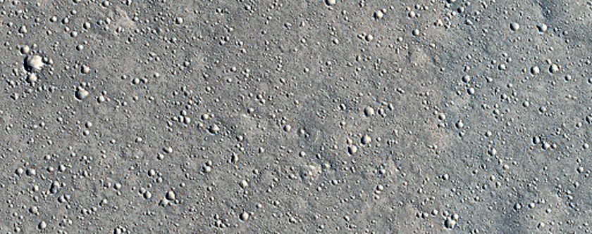 Elysium Planitia