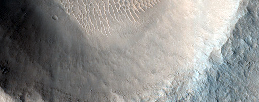 Terrain Sample