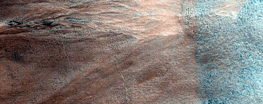 Gully Frost Monitoring