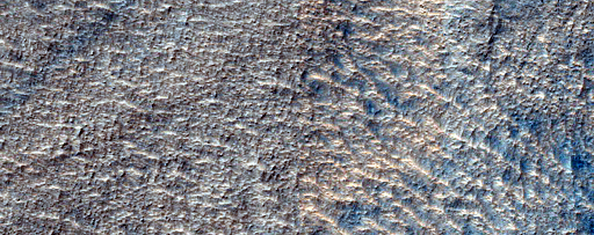 Terrain Sample