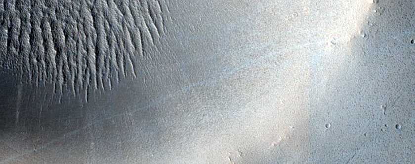 Terrain Sample