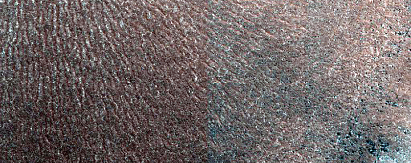 Terrain Sample