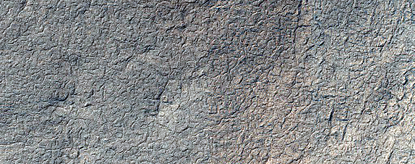 Terrain Sample