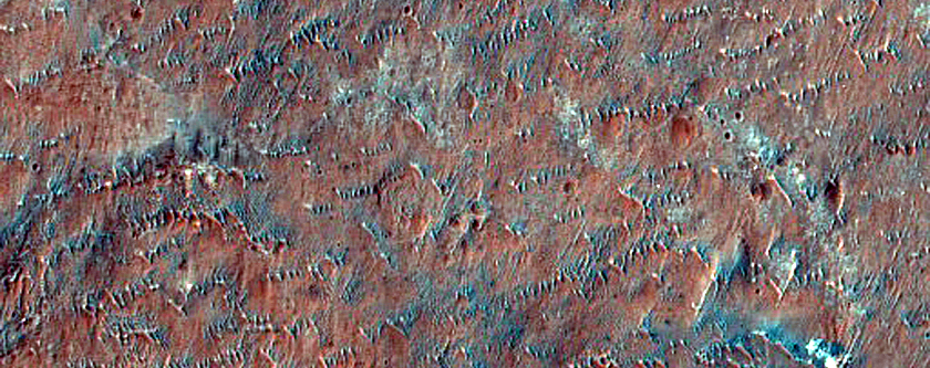 Holden Crater and Eberswalde Crater Basin
