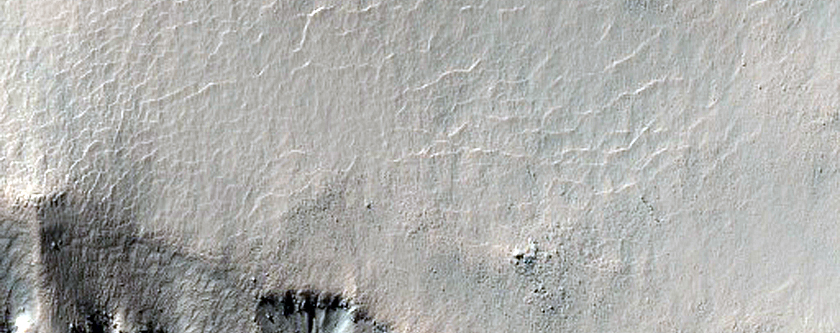 Gully Monitoring