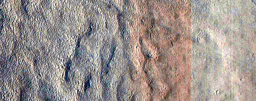 Gordii Dorsum