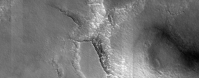 Terrain Sample