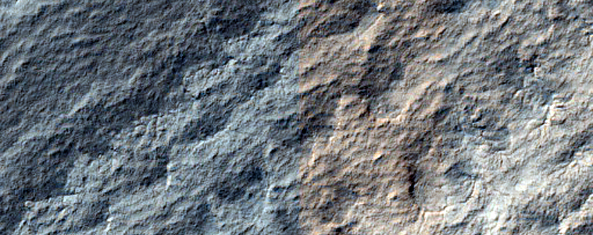 Terrain Sample