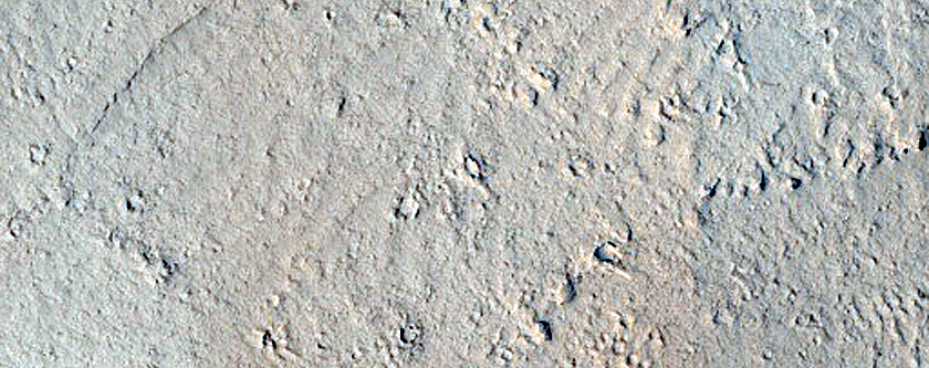 Marte Vallis