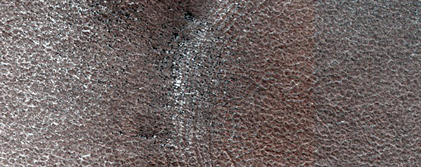 Terrain Sample