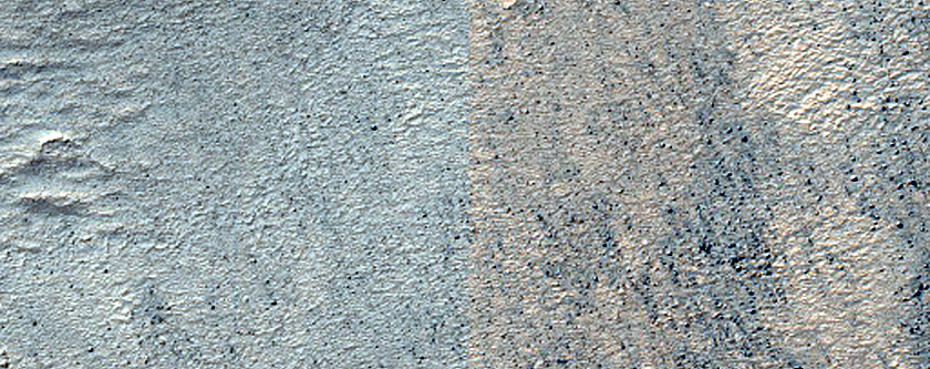 Terrain Sample