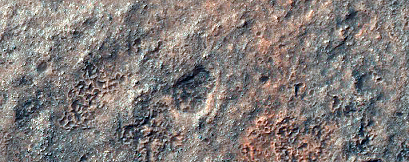 Monitoring Dust Devil Tracks
