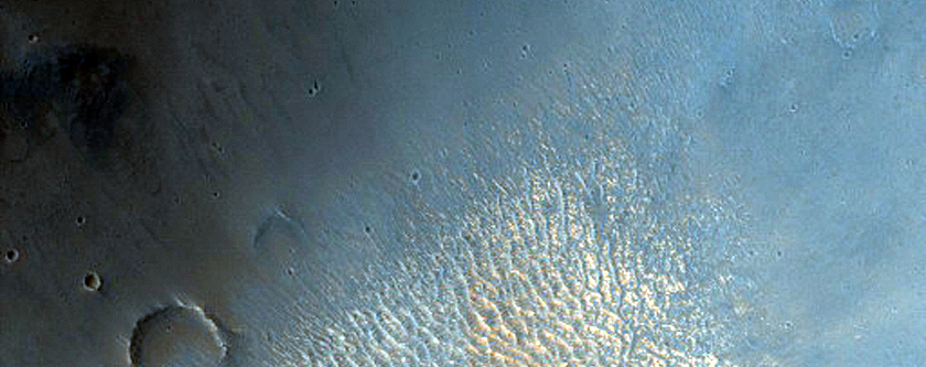Terrain Sample