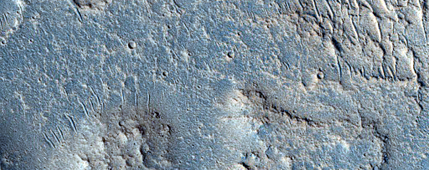 Ridges in Tempe Terra