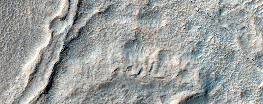 Terrain Sample