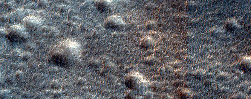 Terrain Sample