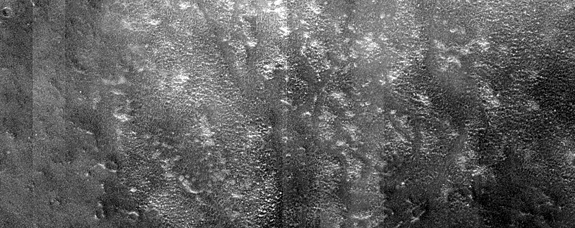Terrain Sample