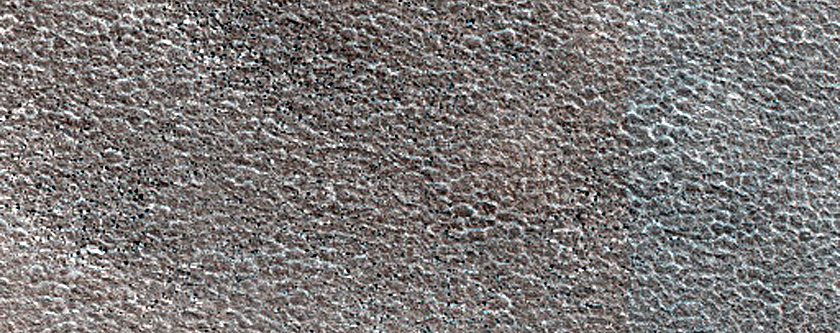 Terrain Sample