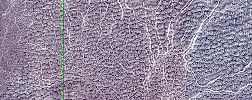 Terrain Sample