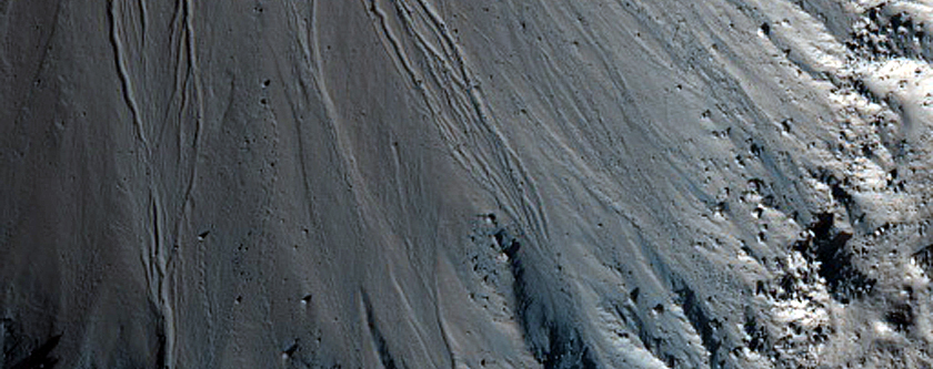 Gully Monitoring
