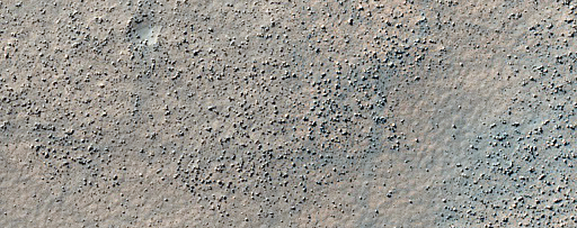 Terrain Sample