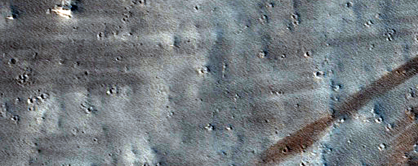 Terrain Sample