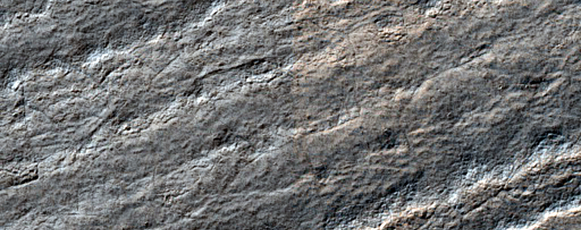Terrain Sample