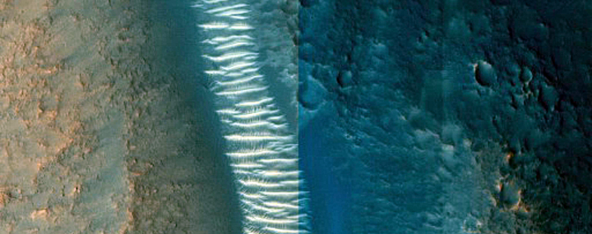 Context Camera Stereo Image