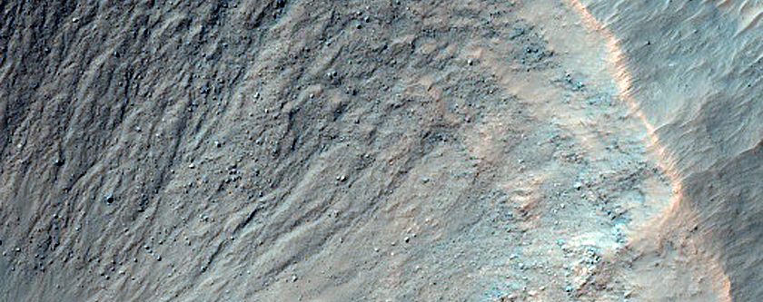 Gullies in 2-Kilometer Diameter Crater with Bright Rock Outcrops