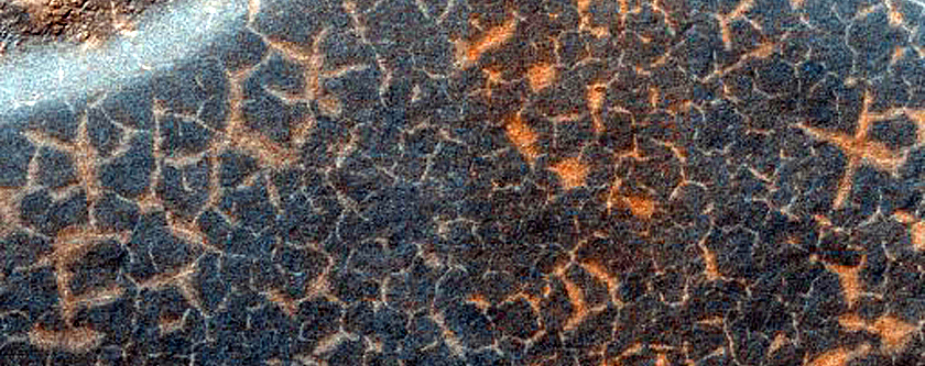 Terrain Sample