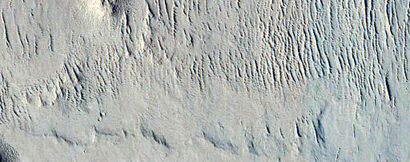 Terrain Sample