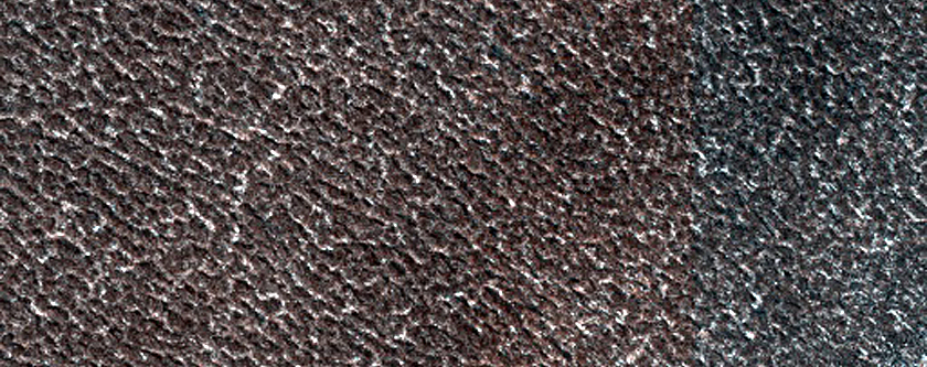 Terrain Sample