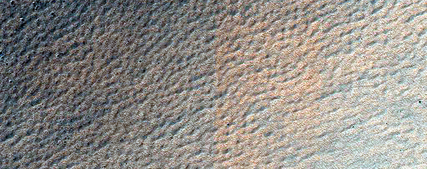 Terrain Sample