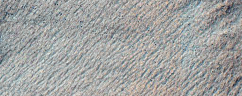 Terrain Sample