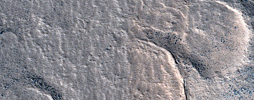 Terrain Sample