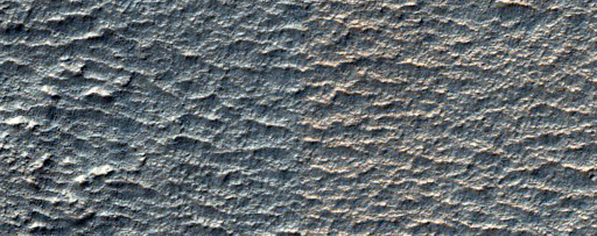 Terrain Sample