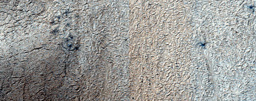 Terrain Sample