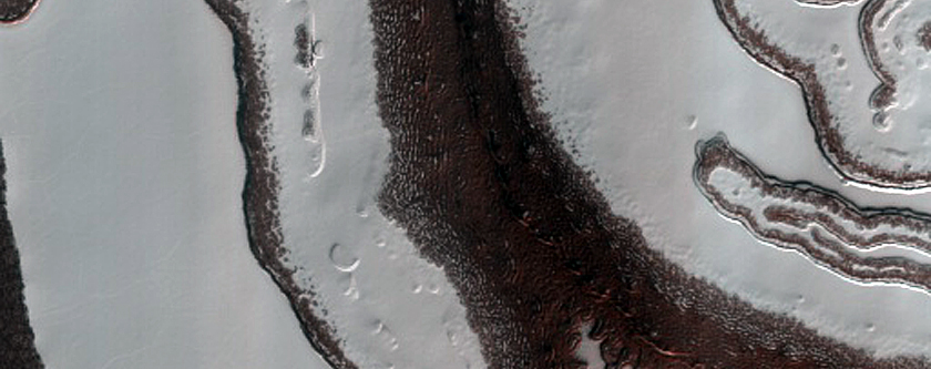 South Polar Residual Cap Intraseasonal Change Monitoring